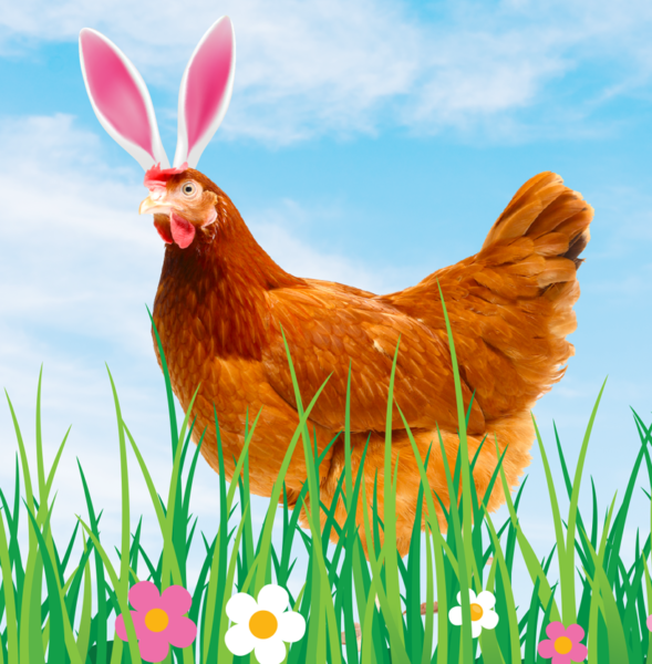 Sunny Queen Seasonal Neon Creative